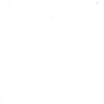 totoverifysite Profile Picture